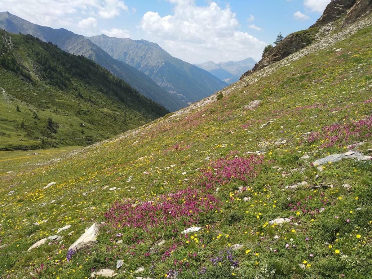 Hébergement de vacances Chez Bonjour Villar Pellice
