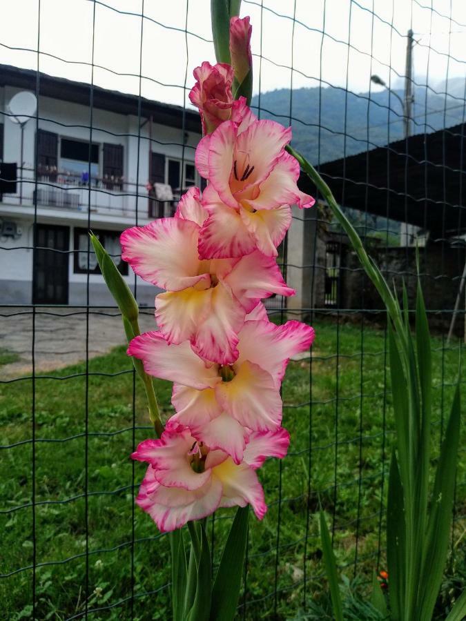 Chez Bonjour * Villar Pellice
